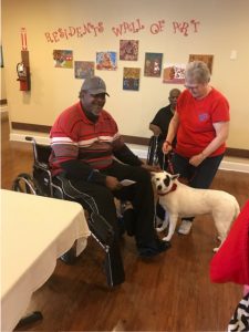 Springgate Pet Therapy