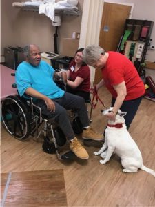 Springgate Pet Therapy